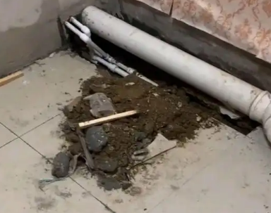 临桂卫生间漏水检测哪家好